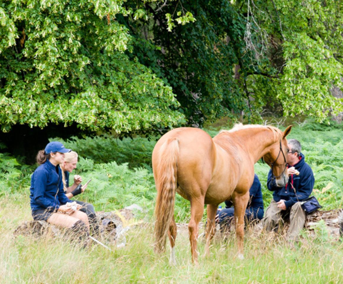 HorseBack UK