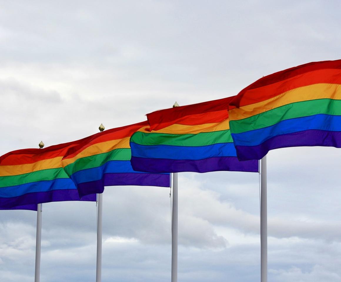 Fighting With Pride